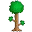 Terraria